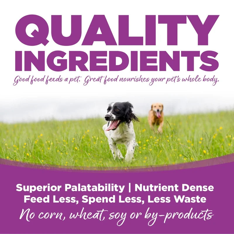 NutriSource Cachorro Perro Raza Grande Pollo y Arroz