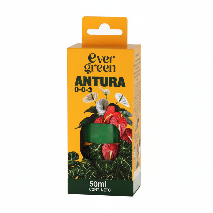 Evergreen Antura X 50 Ml