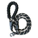 Lazo Almohadilla Hebilla Negra Pl11 Colores Surtidos