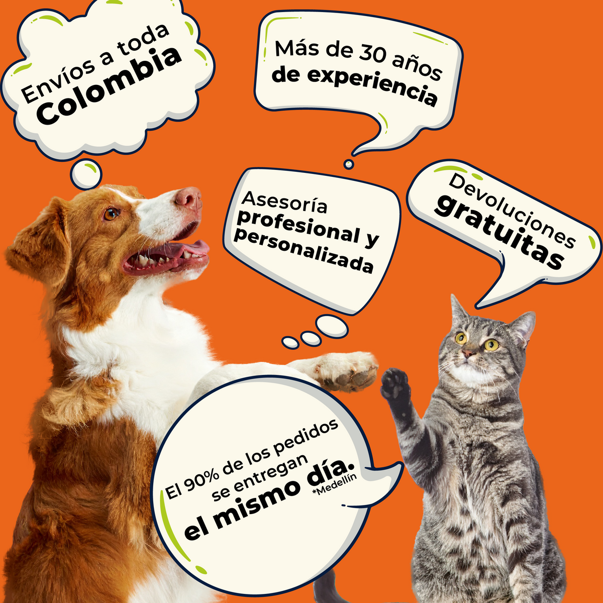 Gerioox Geriatrico x 30 Comprimidos