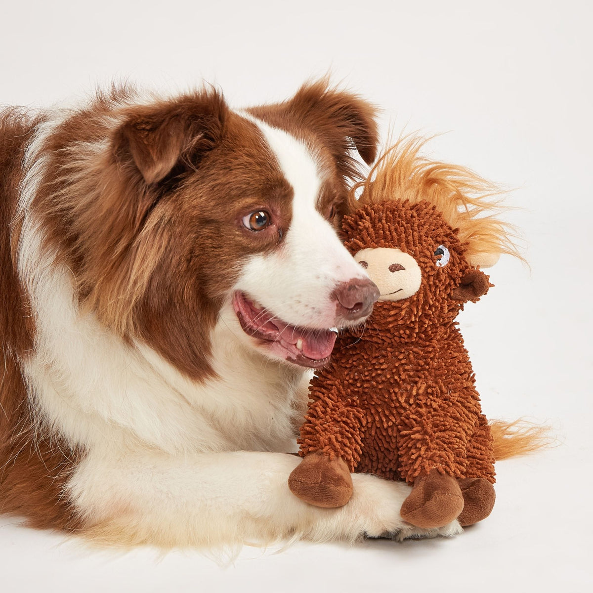 Juguetes Resistentes para Perros