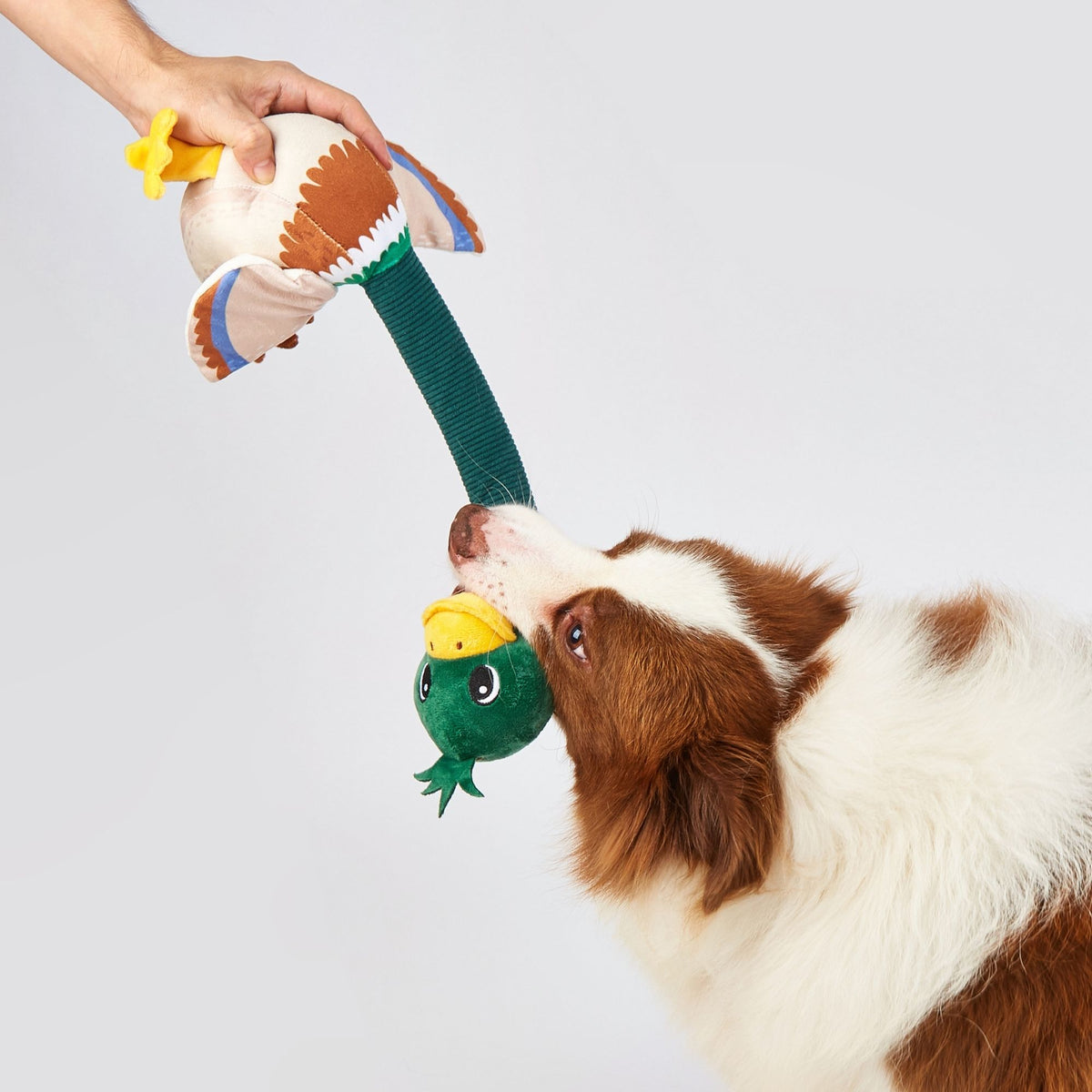Juguetes Crujientes de Cuello Largo para Perros