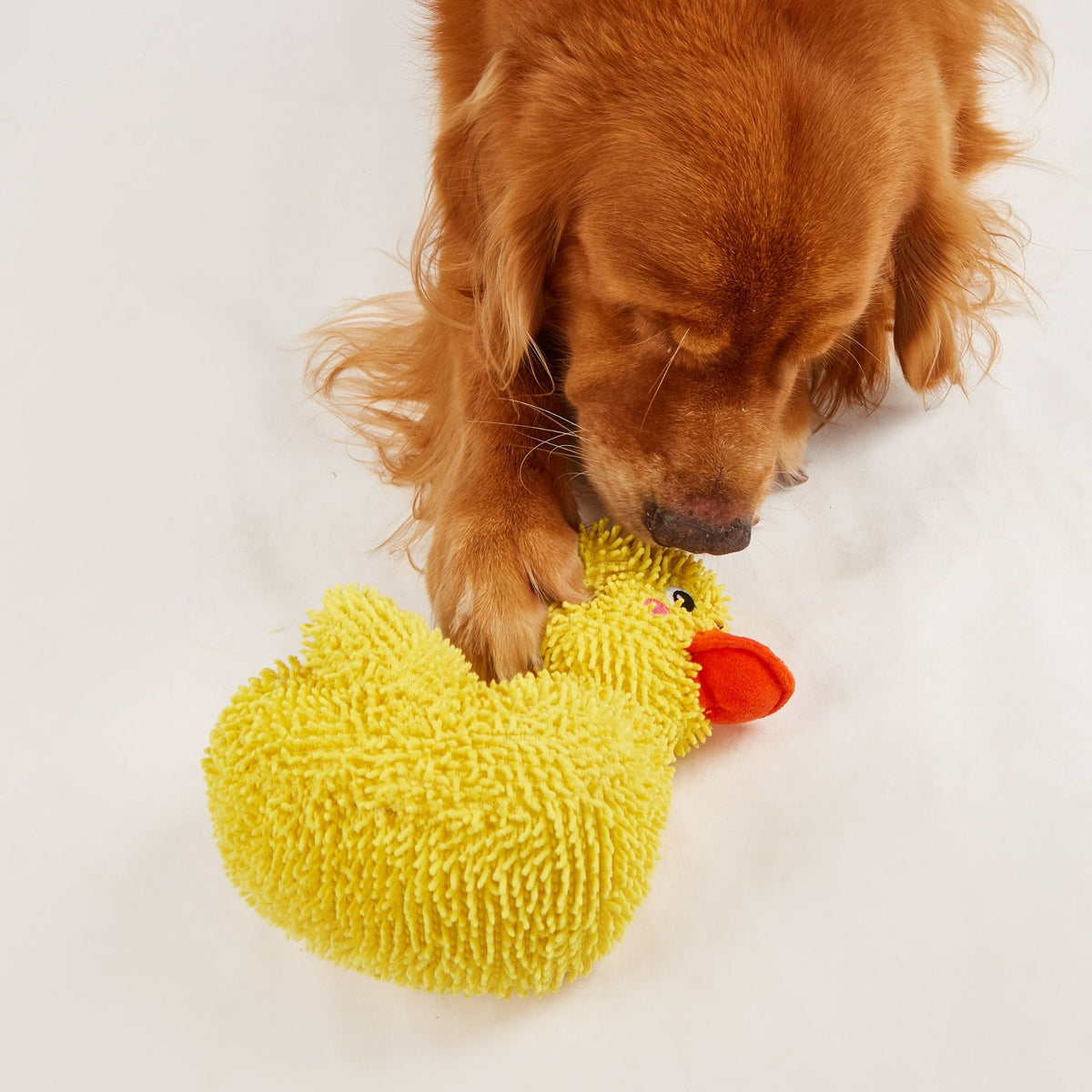 Juguetes Pato Jeep para Perros
