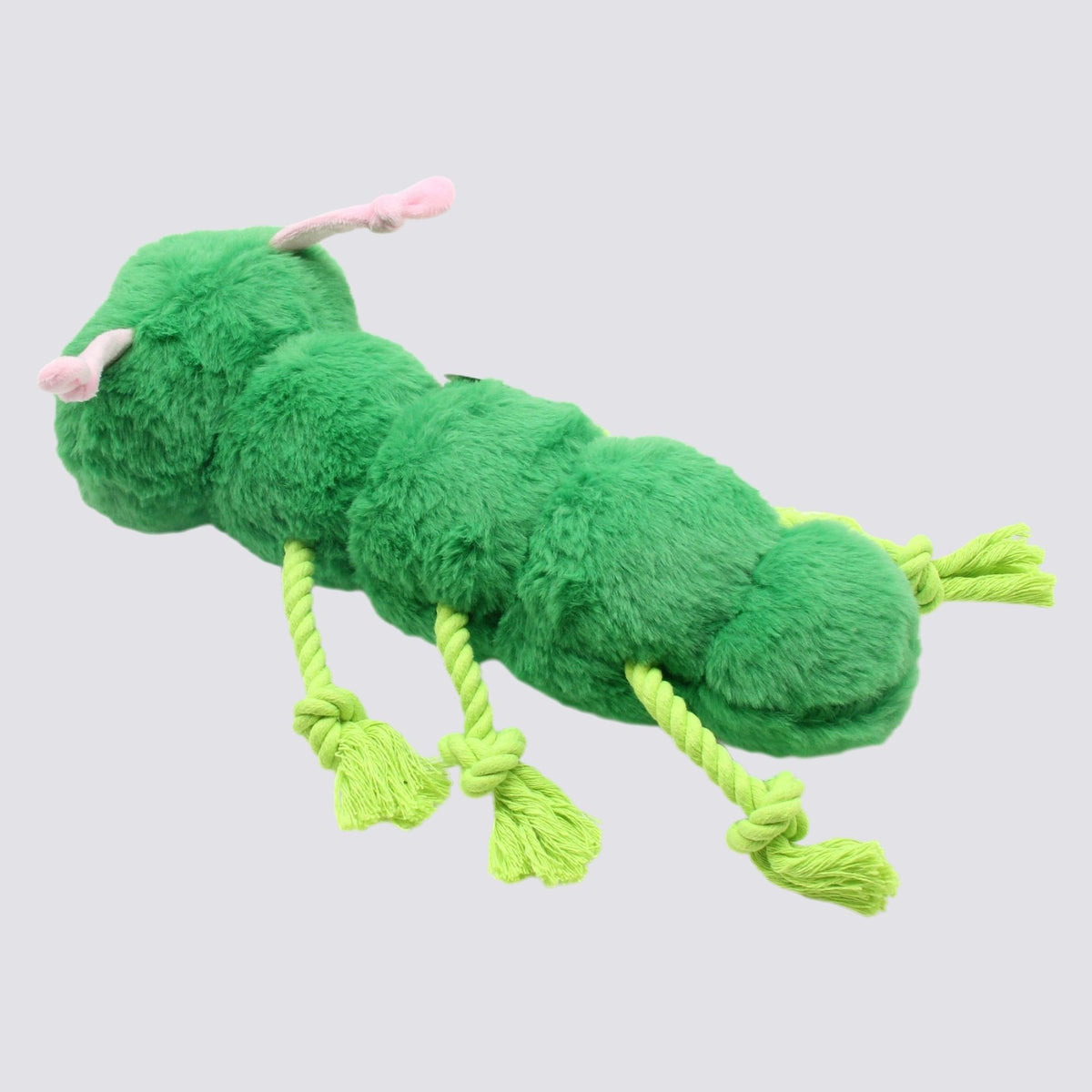 Peluche Primavera Oruga para Perros