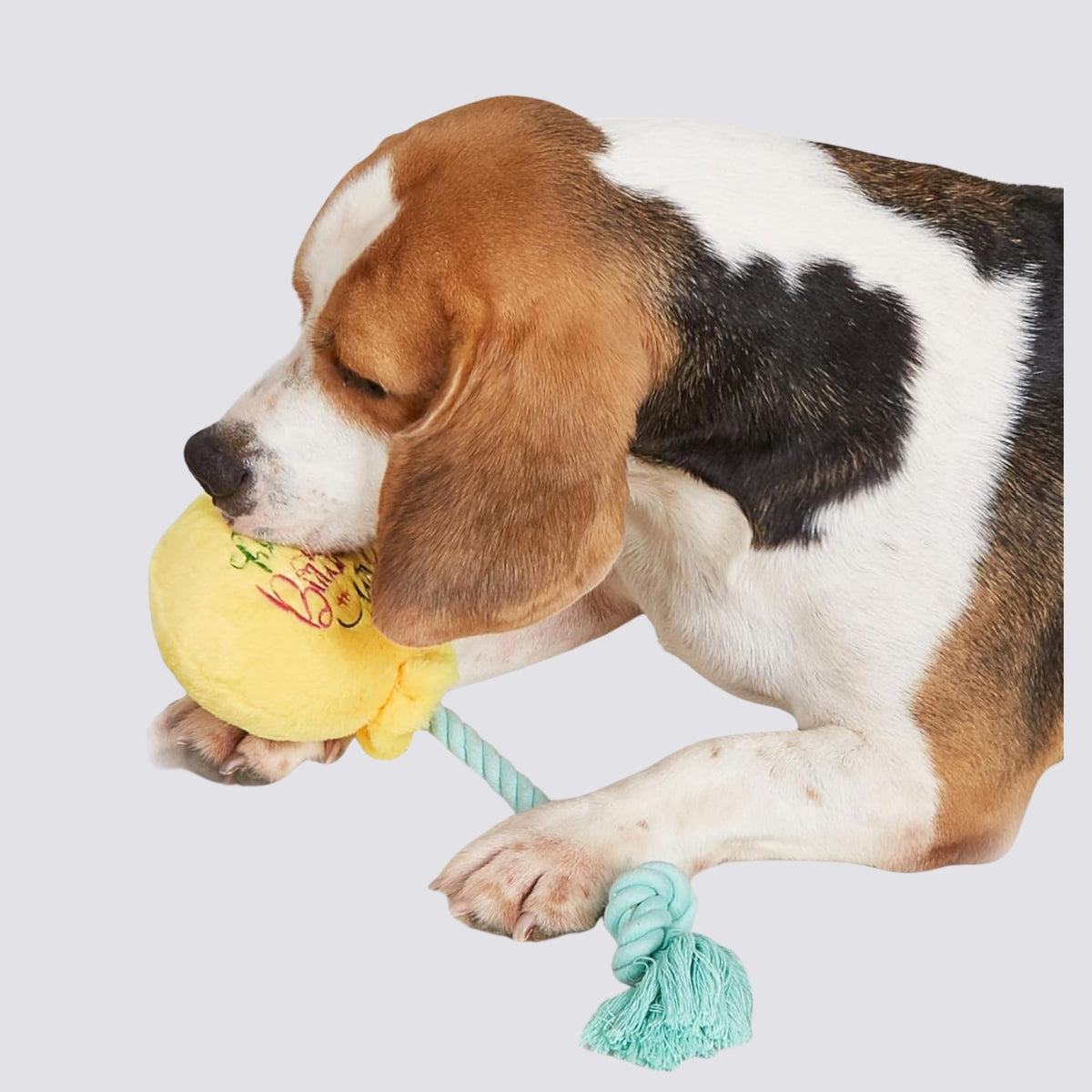 Juguete Perro Globo Cumpleaños
