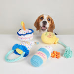 Juguete Perro Globo Cumpleaños