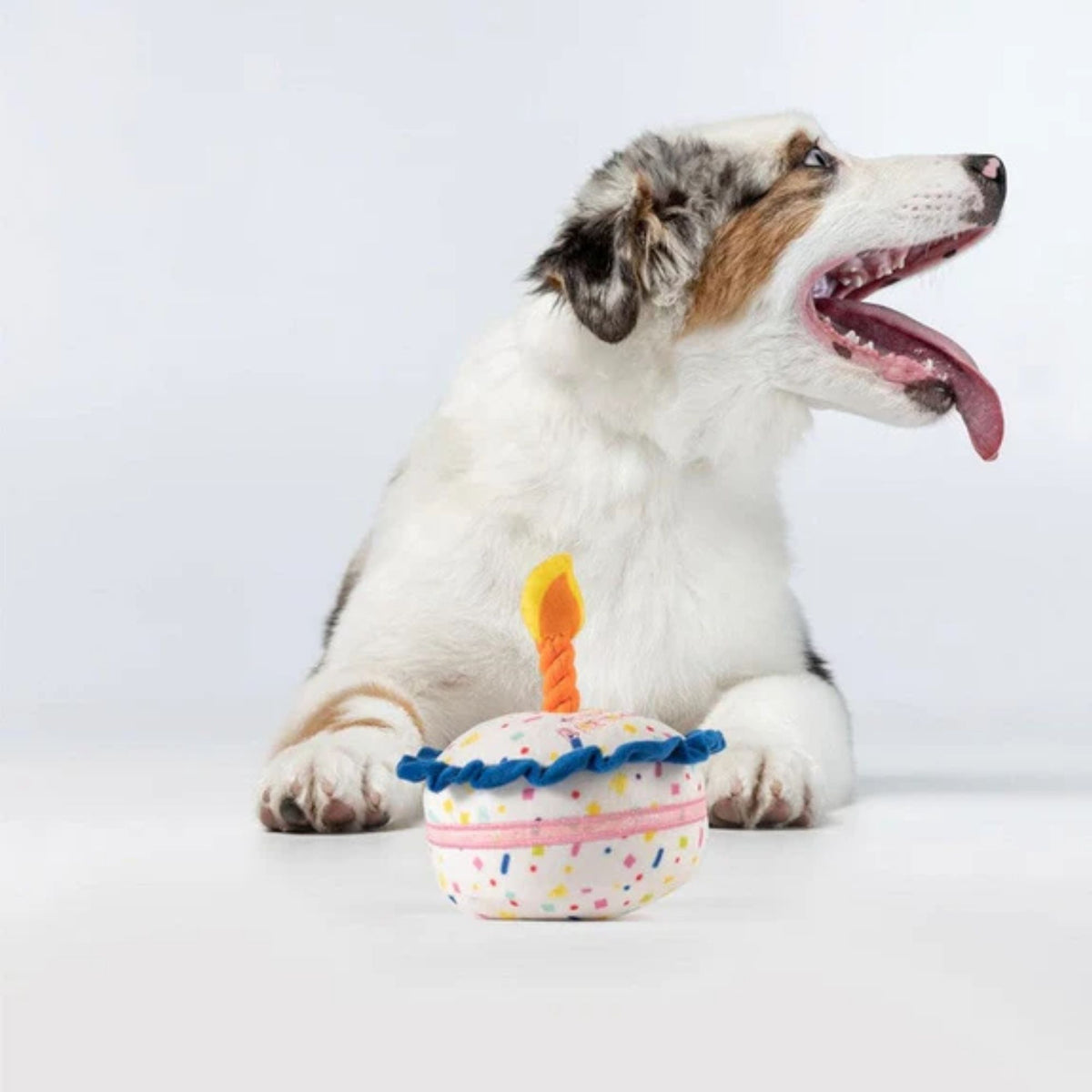 Juguete Perro Torta Cumpleaños