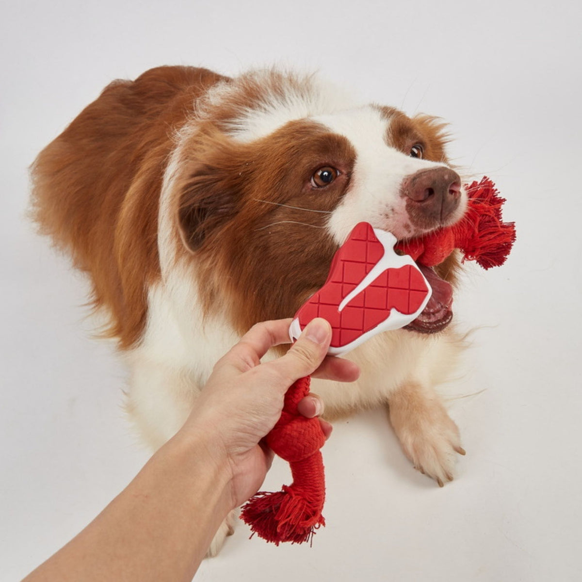 Juguetes Mordedores de Cuerda para Perros