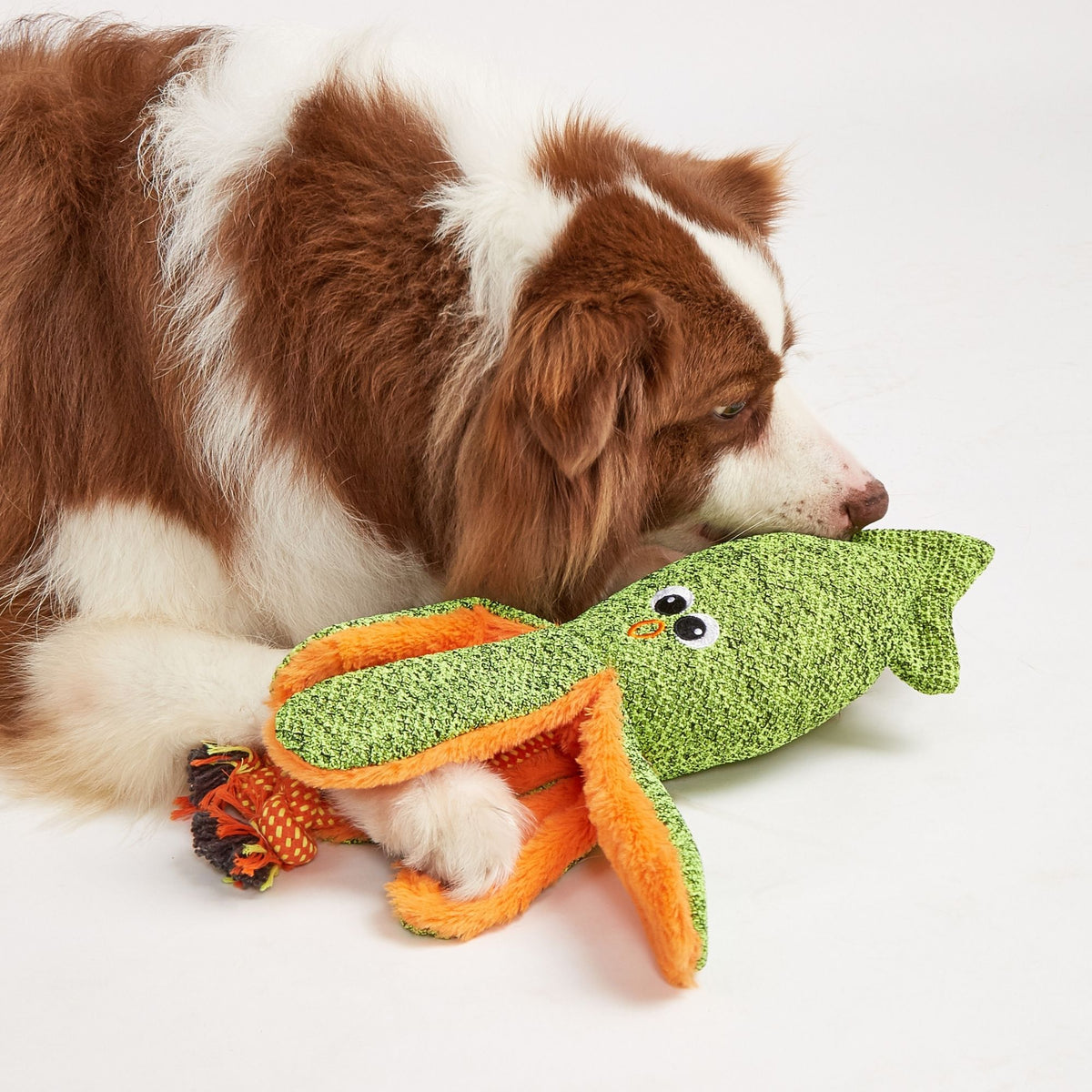 Peluches Verano para Perros