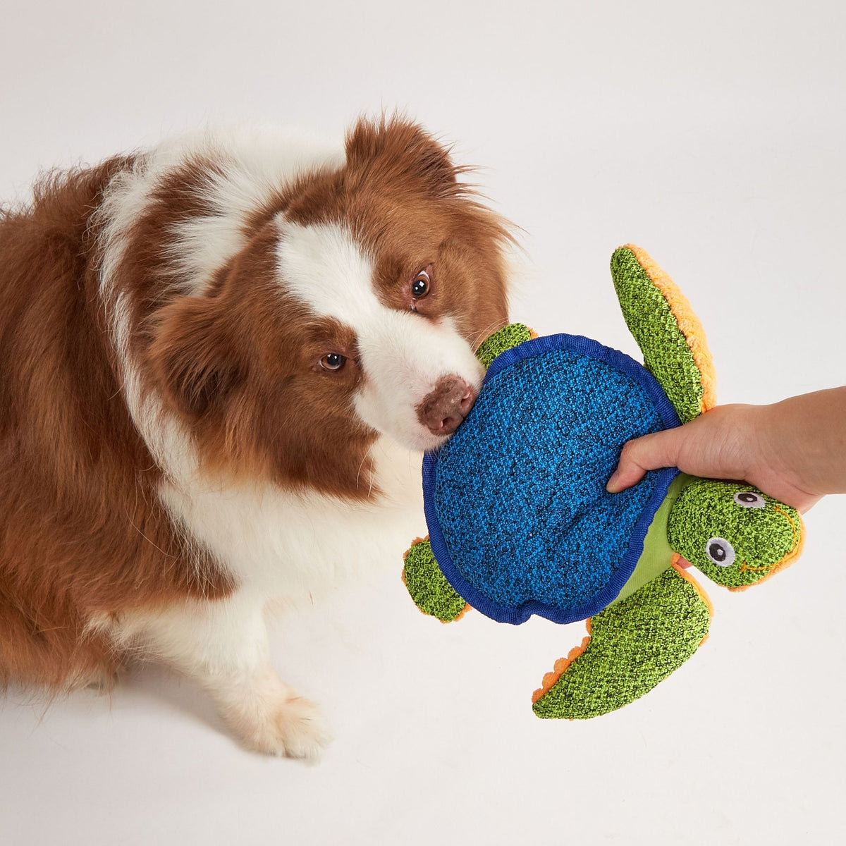 Peluches Verano para Perros