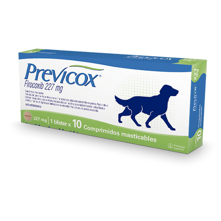 Previcox Dog