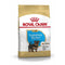 Royal Canin Yorkshire Puppy 1.13Kg
