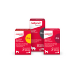 Galliprant Antiinflamatorio Perros