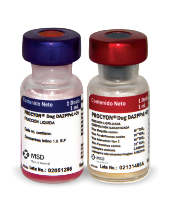 Vacuna Procyon DA2PPvL x 1 Dosis para Perros Contra 5 Enfermedades