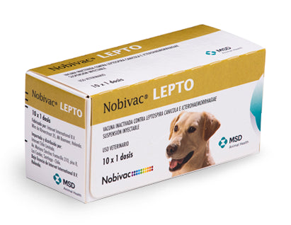 Vacuna Nobivac L x 1 Dosis para Perros Contra Leptospirosis