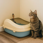 Arenera Azul Con Pala 