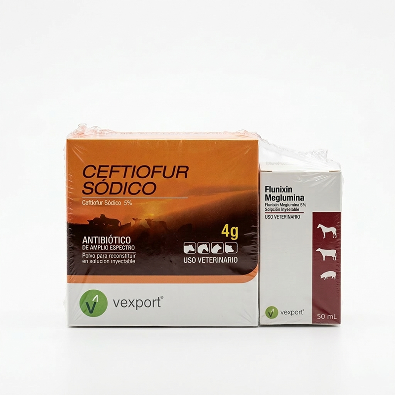 Ceftiofur sodico 4 g + flunixin megl 50 ml