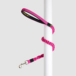 Correa Grande Anti-Shock Perros