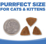 Nutrisource Gato y Gatito Salmón