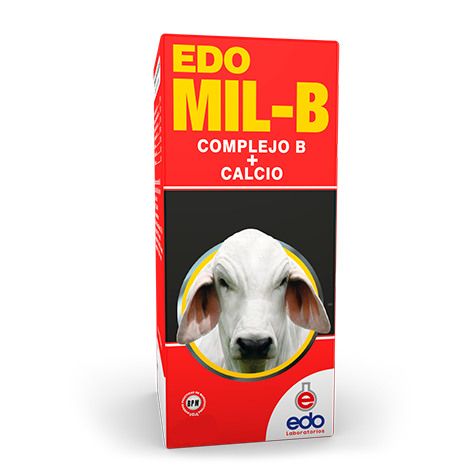 Edo Mil B