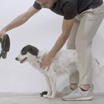 Zeedog Aerobic Flyharness Arnés para Perros