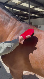 Cepillo Guante para Equinos