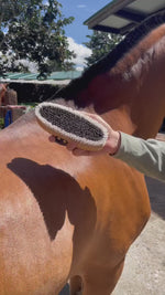 Cepillo Suave para Equinos