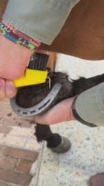 Limpia cascos para Equinos