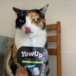 Yogurt Natural con Prebióticos para Perros y Gatos