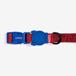 Collar Para Perro Spider Man