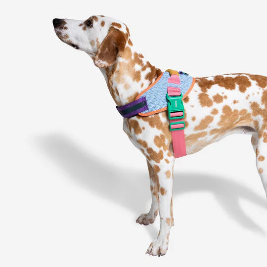 Arnes Para Perro Pequeño Galaxy Flyharness