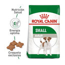 Mini adulto  2KG - Royal Canin