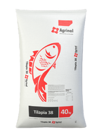 Tilapia 38 extruida|Solla
