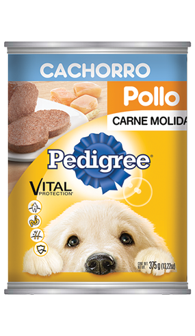 Pedigree cachorro lata de pollo y carne|Pedigree