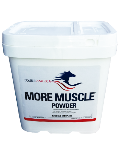 More Muscle  x 8 lb Pellets|Equine America