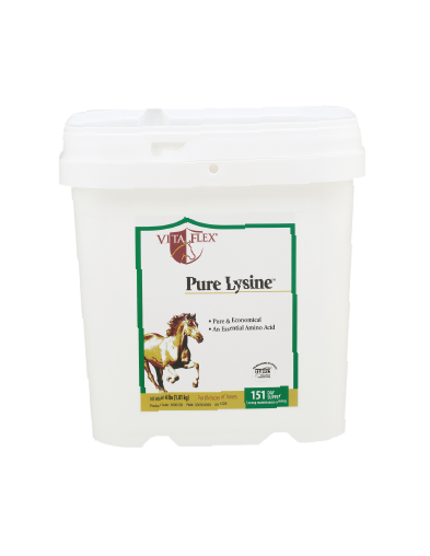 Pure Lysine x 4 lb Powder|Vita Flex