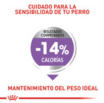 Royal Canin Perros Mini AdultosEsterilizados x 1 Kg