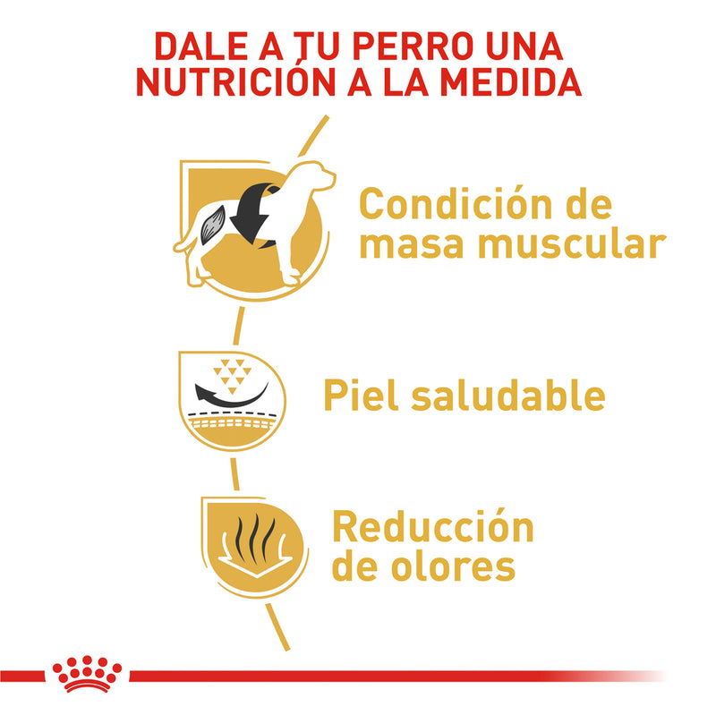Alimento Para Perro Royal Canin Bhn Bulldog Frances Adulto - 3 Kg
