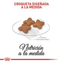 Mini adulto  2KG - Royal Canin