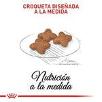 Mini Adulto2Kg - Royal Canin