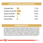 Alimento Para Perro Royal Canin Bulldog Frances Adulto - 3 Kg