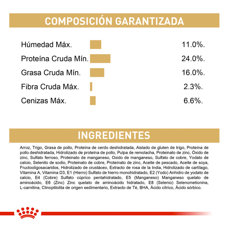 Alimento Para Perro Royal Canin Bhn Bulldog Frances Adulto - 3 Kg