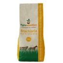 Semilla de pasto Brachiaria humidicola x 1 kg|Agrosemillas