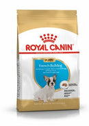 Bulldog francés cachorro 3KG Royal canin