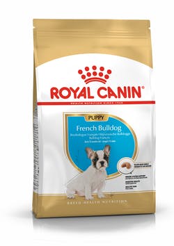 Bulldog francés cachorro 3KG Royal canin