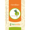 Semilla de Cebolla larga evergreen x 20 gr|Agrosemillas