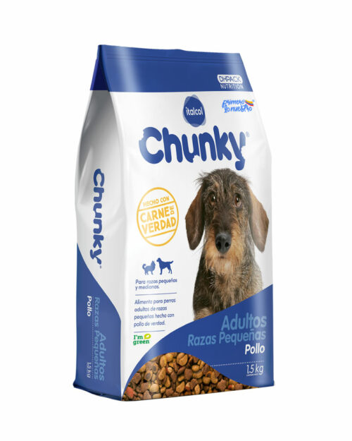 Chunky adulto raza pequeña