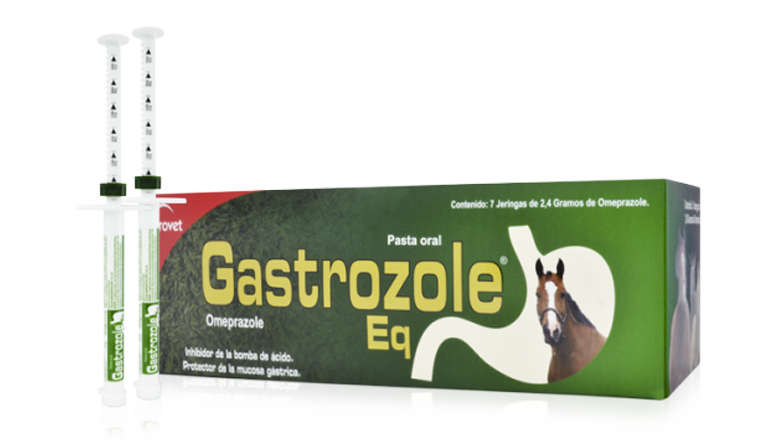 Gastrozole EQ|Provet