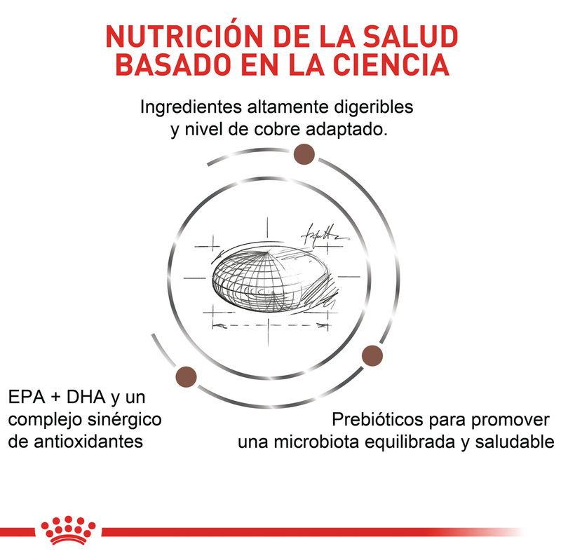 Alimento Para Gato Royal Canin Veterinary Diet Hepatic - 2 Kg