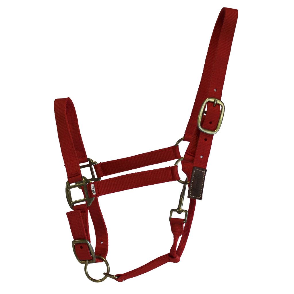 Jaquimón para caballo|Mesace